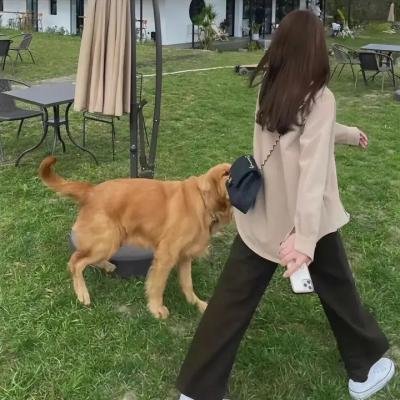 华颐：吞噬怪物的孩子